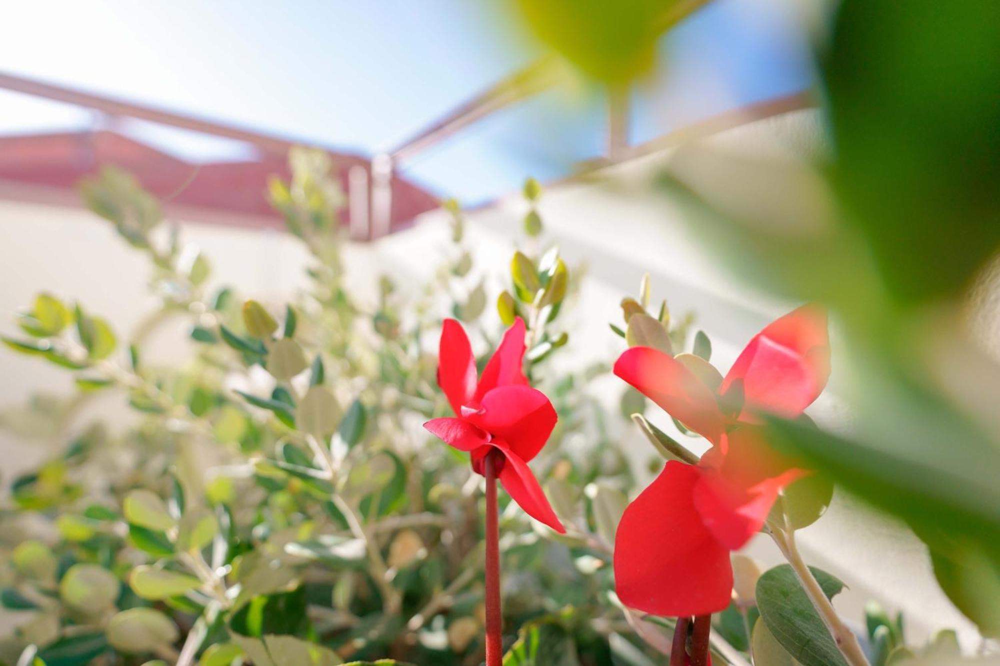 Guest House Deidda - Ts Rooms B&B San Sperate ภายนอก รูปภาพ